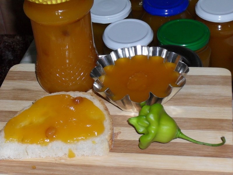 Dulceata de dovleac cu citrice si stafide