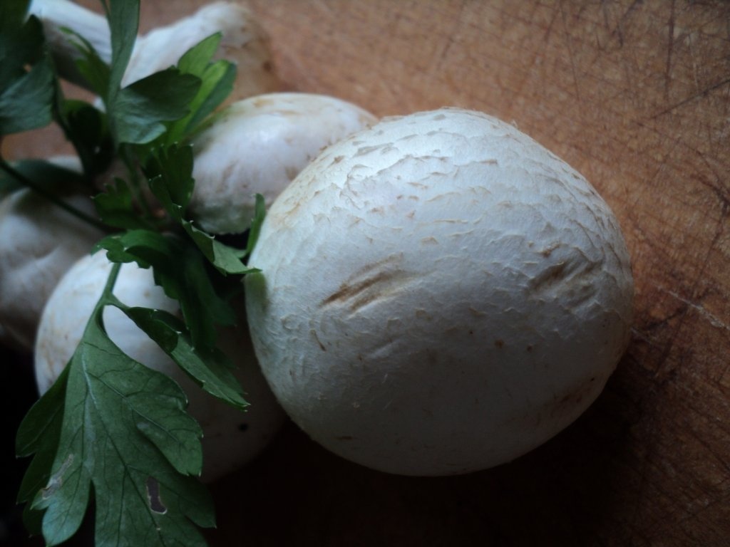 Pancakes cu ciuperci