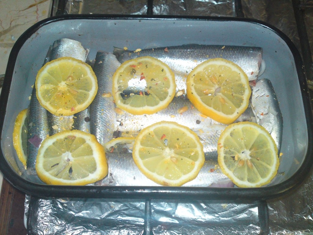 baby hering cu lamaie