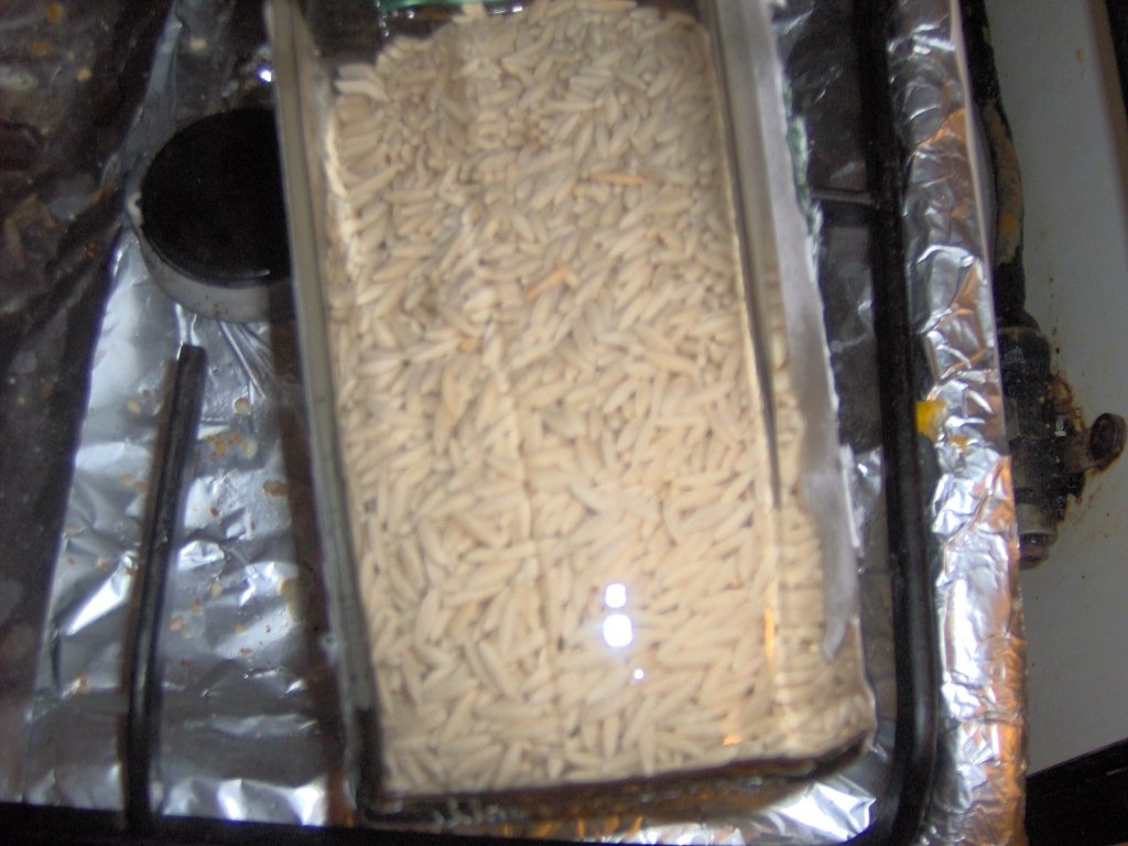 File de pui cu paste