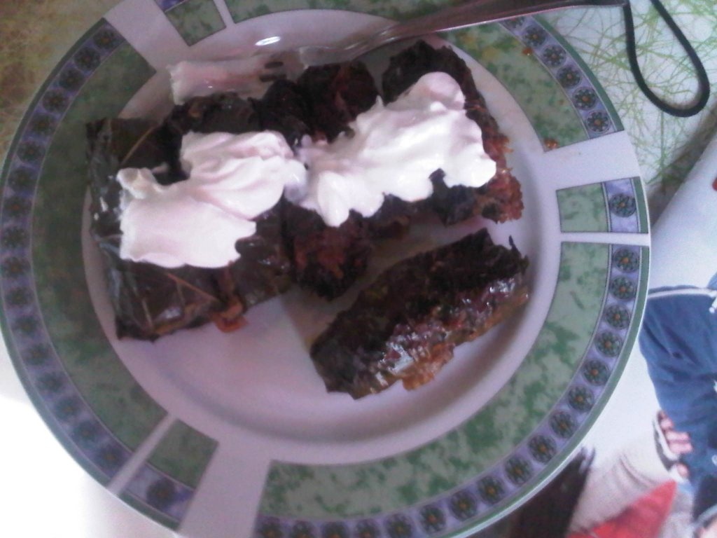 Sarmalute in foi de vita