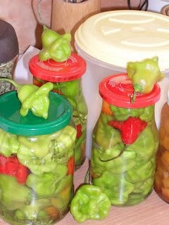 Ardei iute sub forma de floare pt iarna