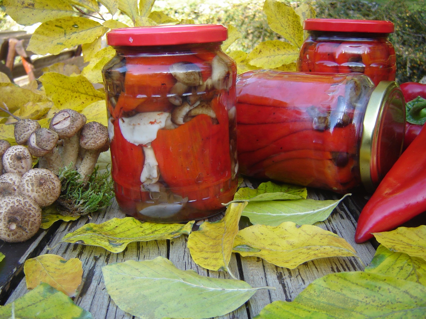 Ardei kapia copti umpluti cu ciuperci de padure