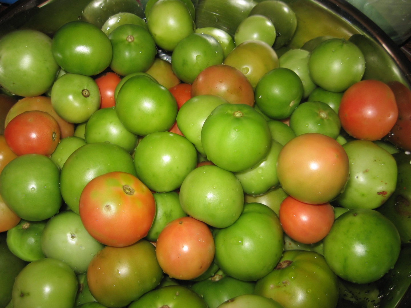 Muraturi asortate in saramura