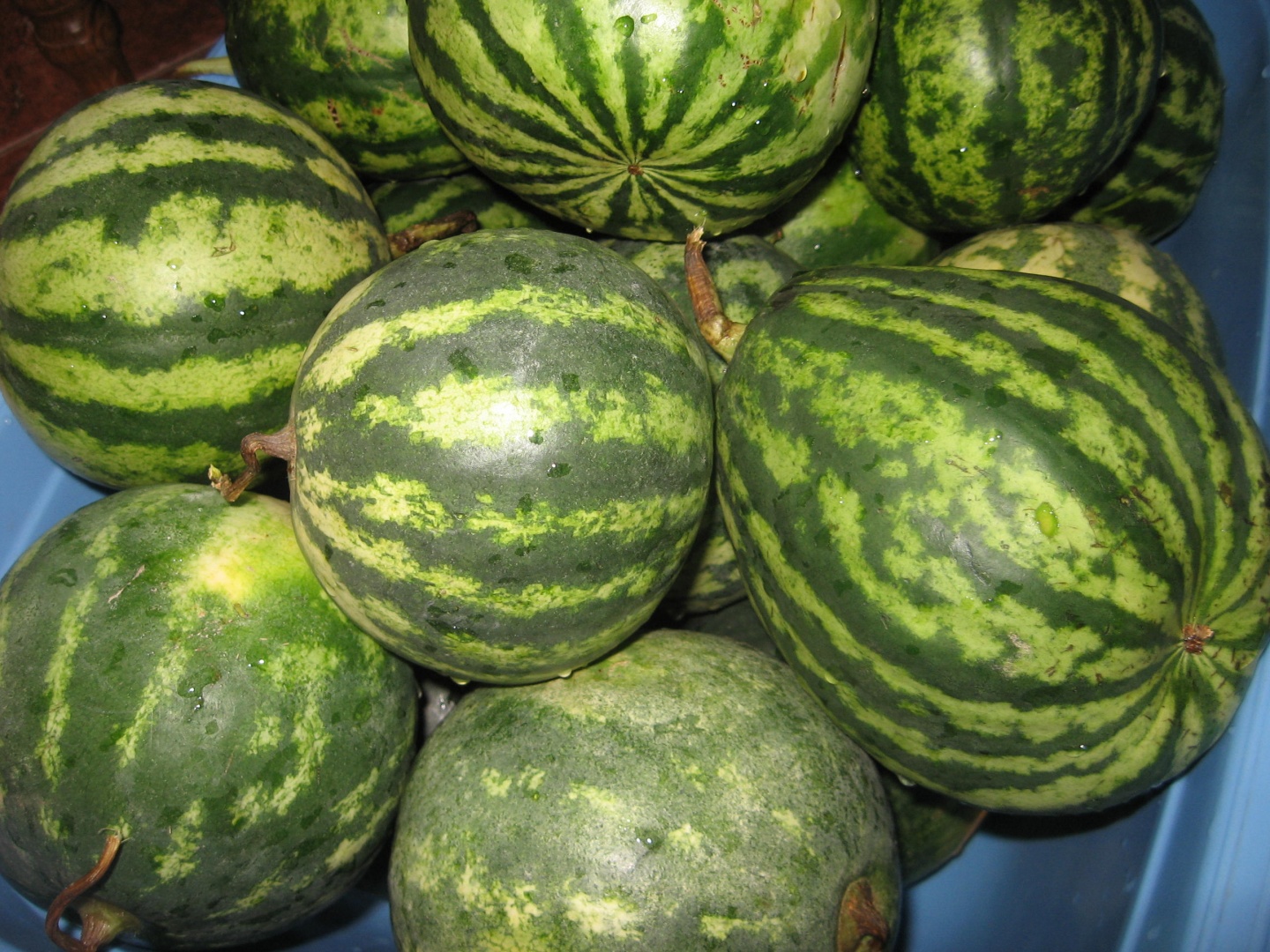 Muraturi asortate in saramura