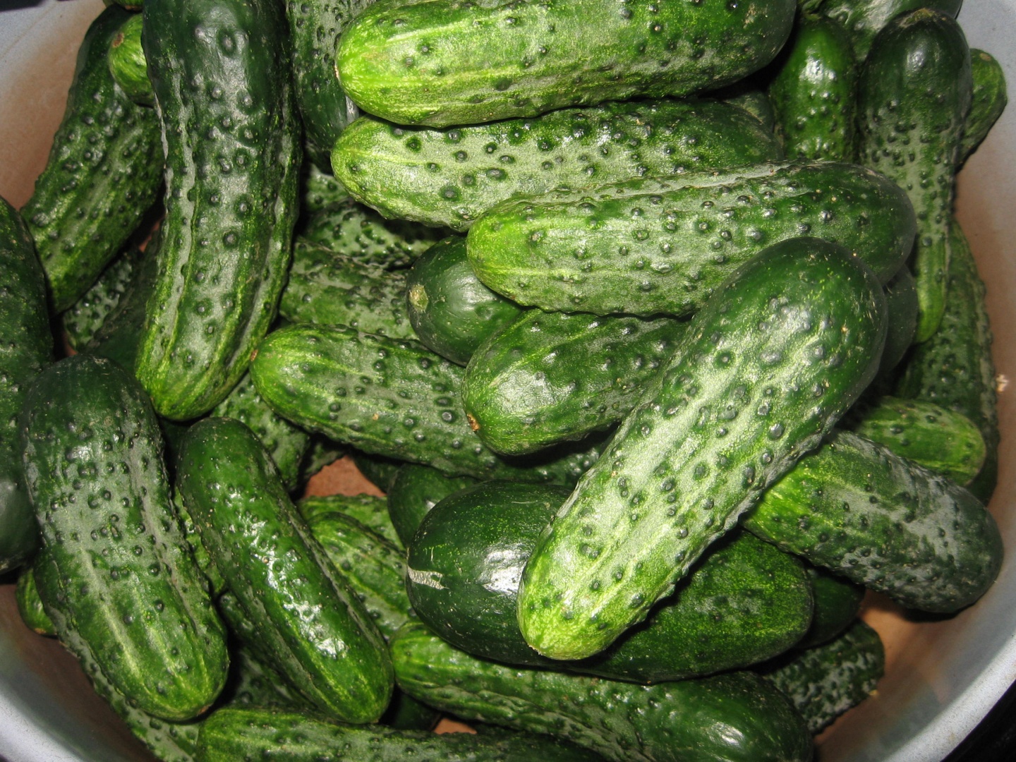 Muraturi asortate in saramura