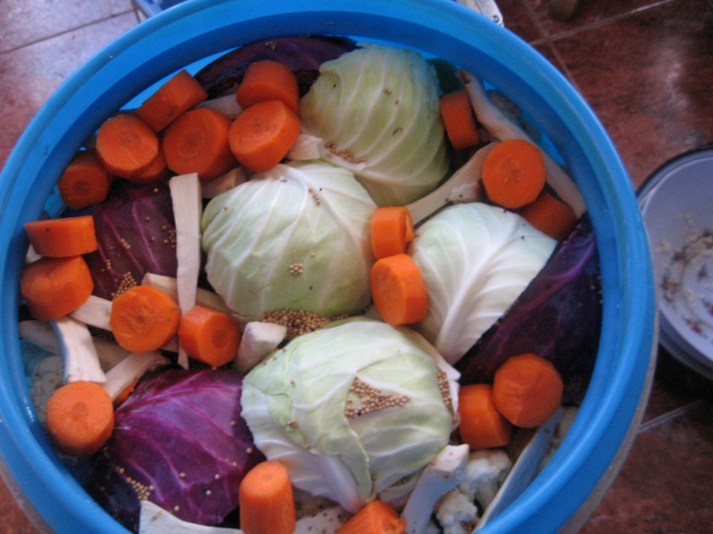 Muraturi asortate in saramura