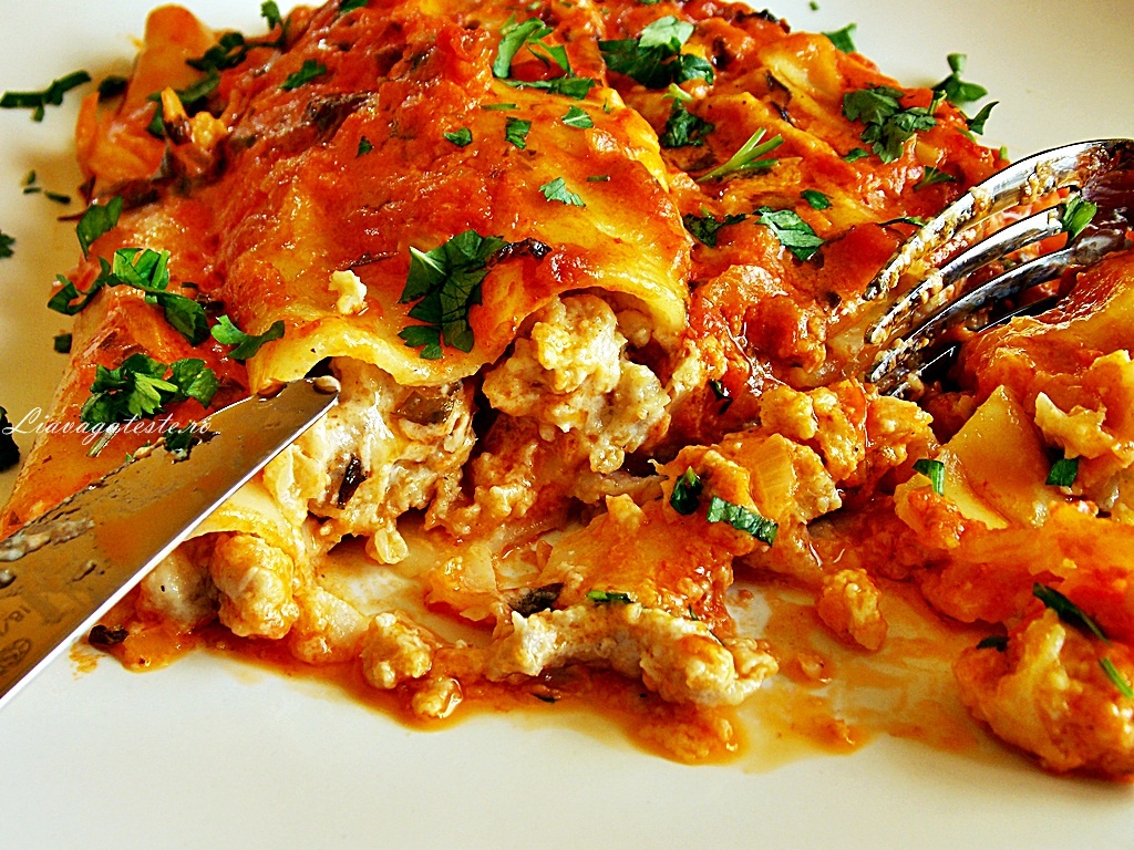 Cannelloni cu carne de pui