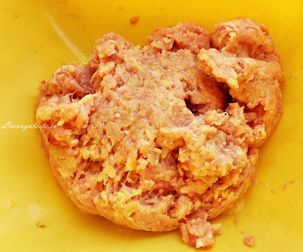 Cannelloni cu carne de pui