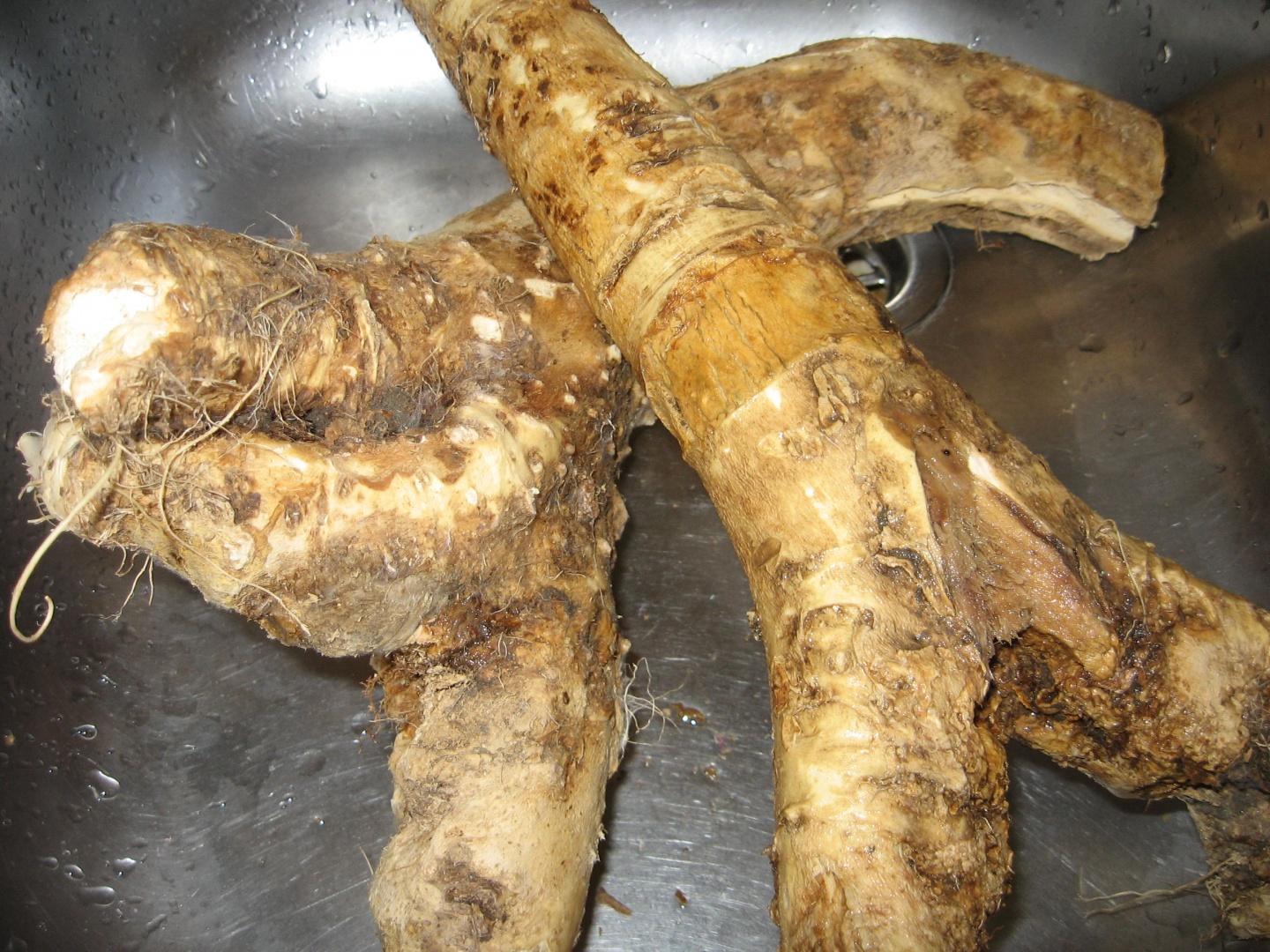 Castraveti murati in saramura