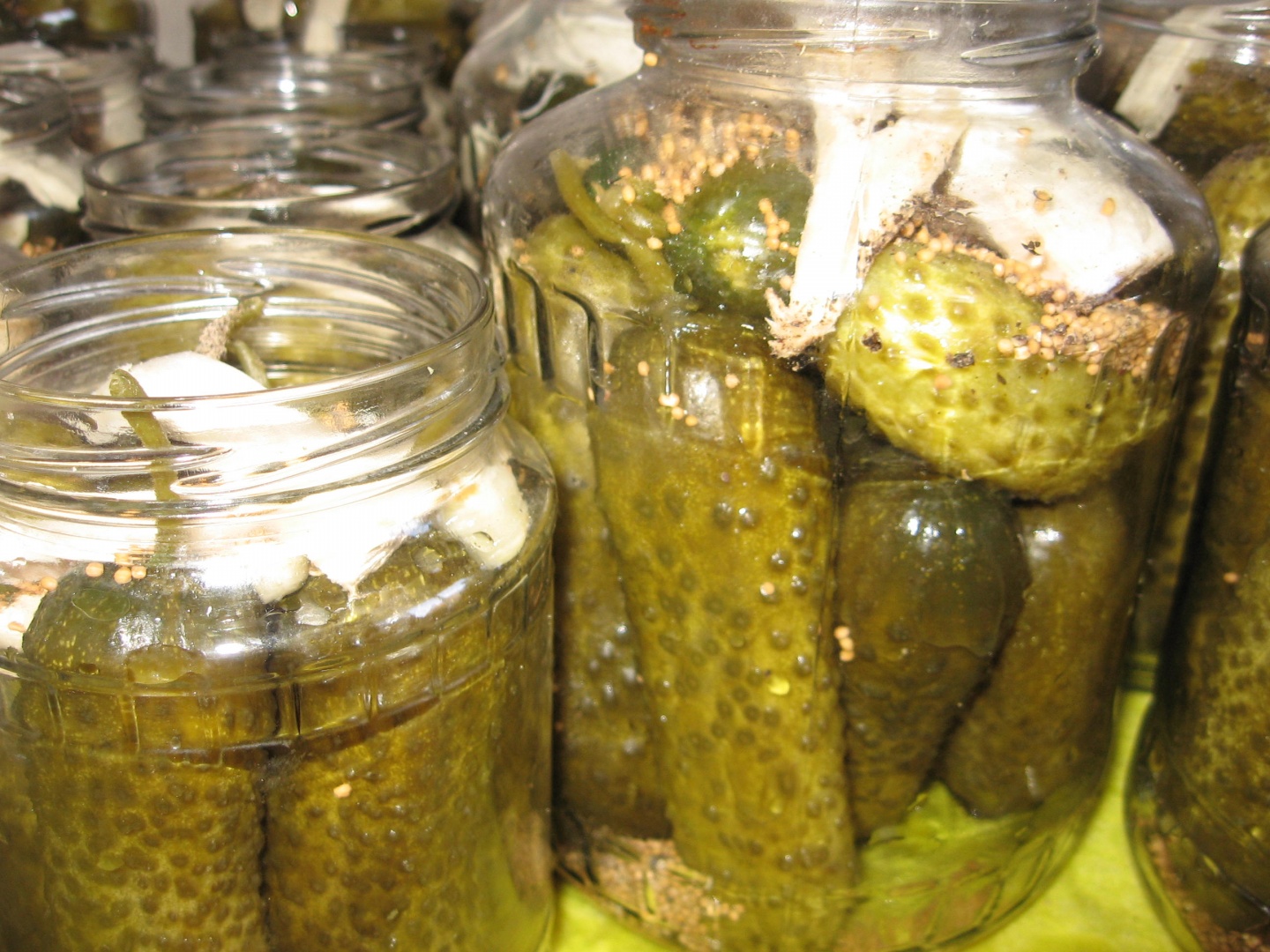 Castraveti murati in saramura