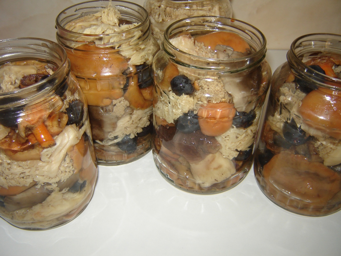 Ciuperci de padure la borcan