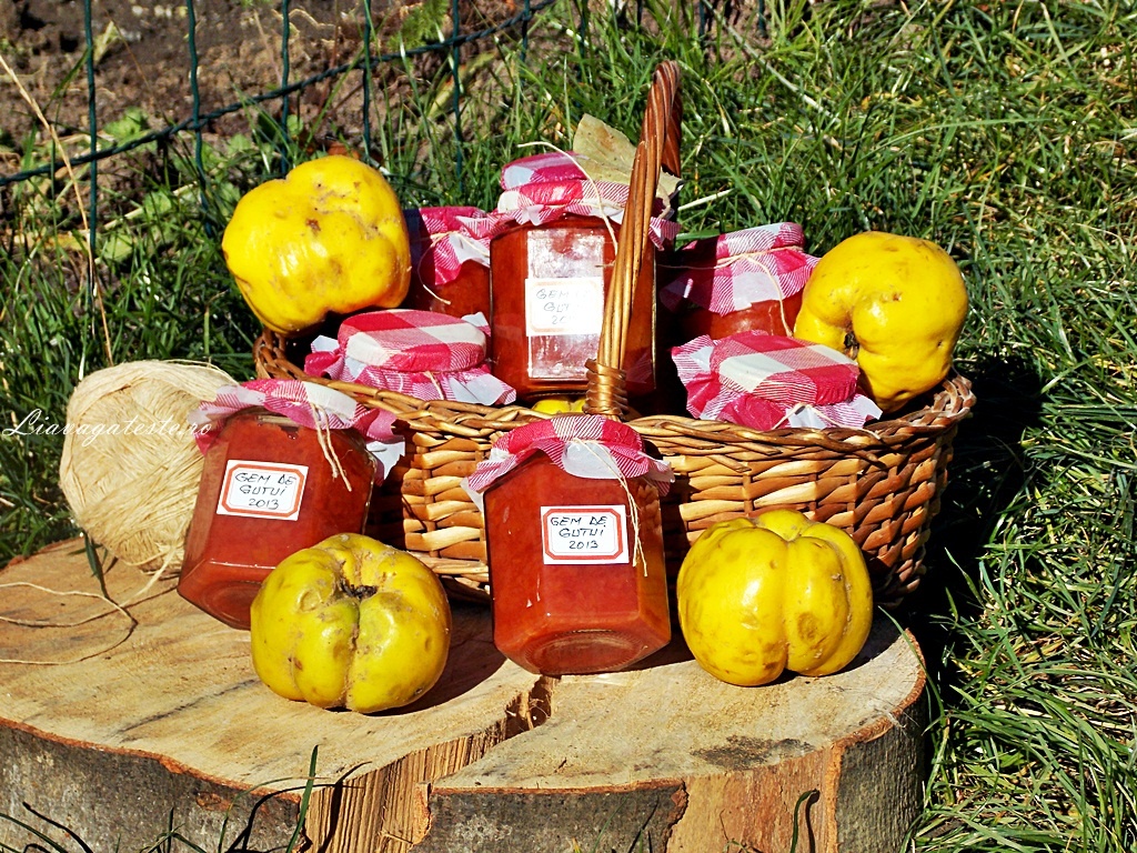 Gem de gutui in Multicooker