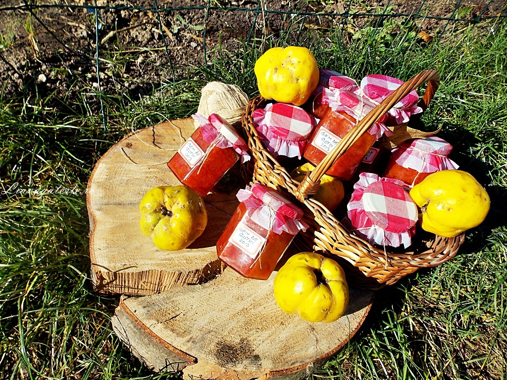 Gem de gutui in Multicooker