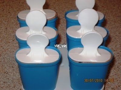 Inghetata de cacao cu fulgi de migdale pe bat