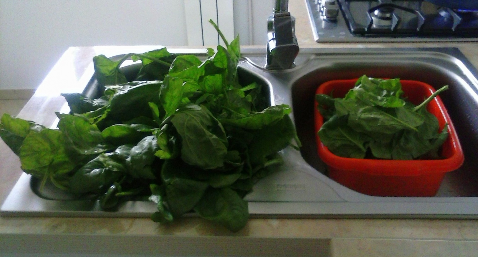 Soté de spanac cu usturoi