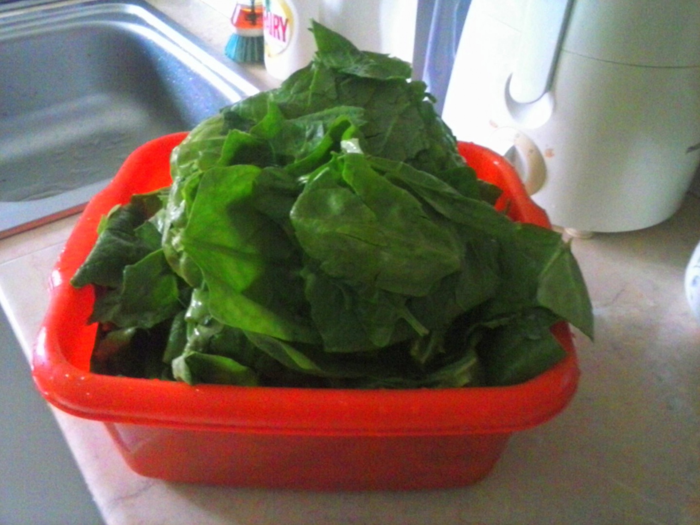 Soté de spanac cu usturoi