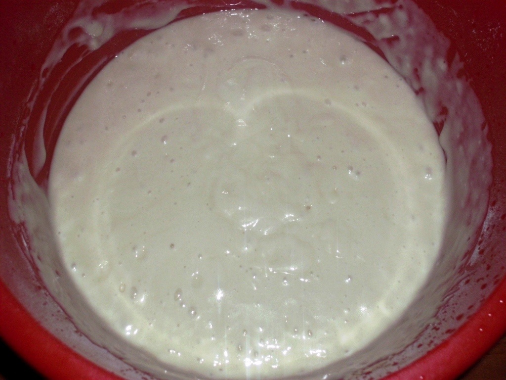 Chec cu cacao si stafide