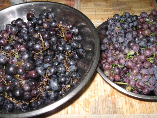 MUST si VIN obtinut in bucatarioara de la bloc