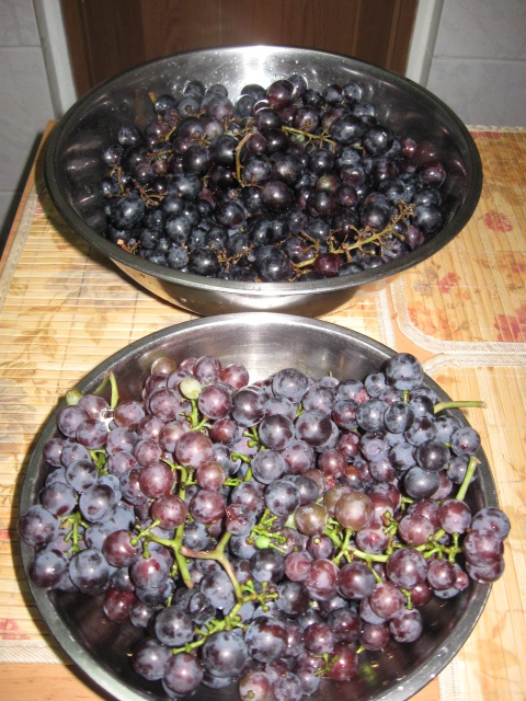 MUST si VIN obtinut in bucatarioara de la bloc