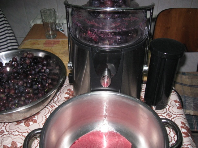 MUST si VIN obtinut in bucatarioara de la bloc