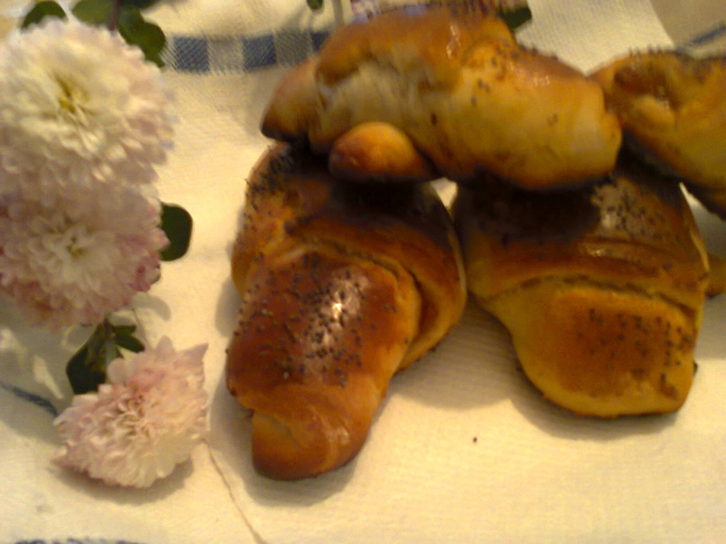 Cornuri pufoase cu gem