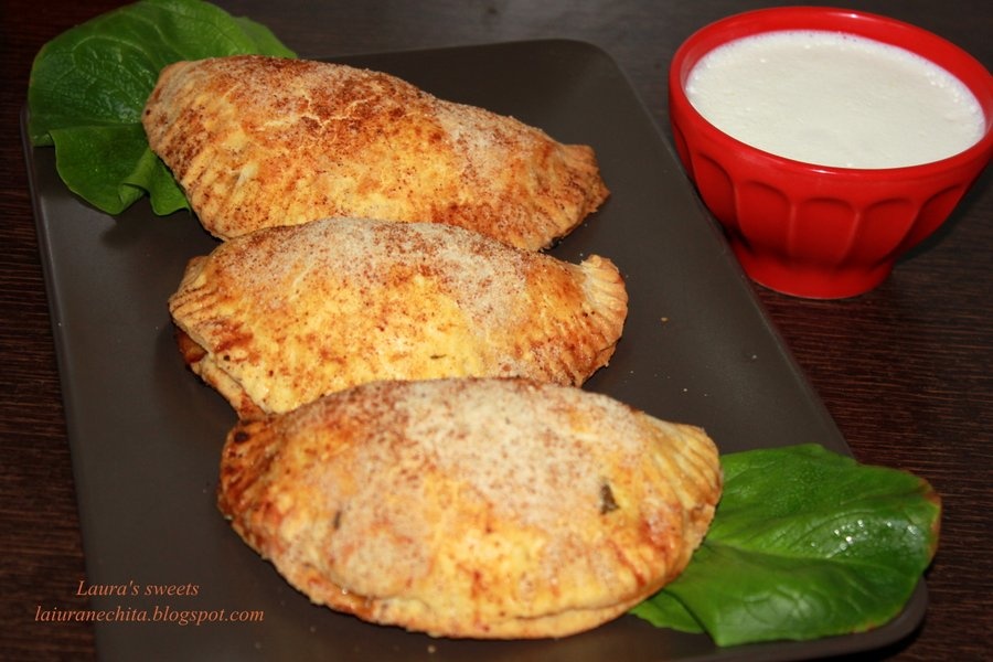 Empanadas cu carne de pui si ciuperci