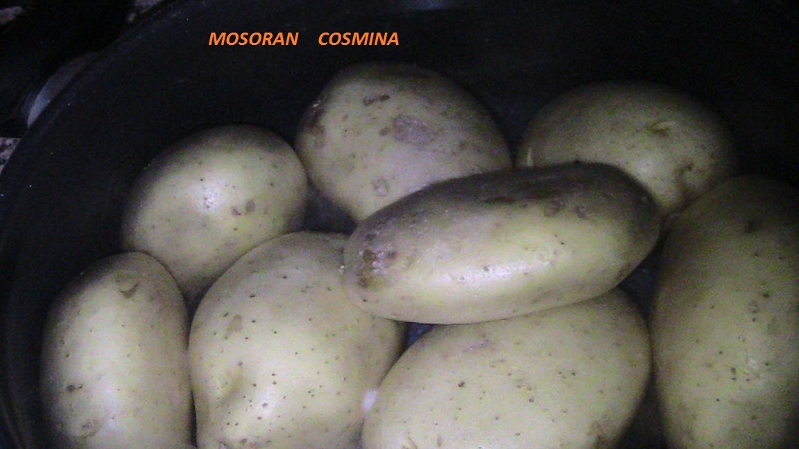 Salata orientala de cartofi