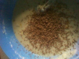 Briose cu ciocolata si stafide