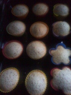 Briose cu ciocolata si stafide