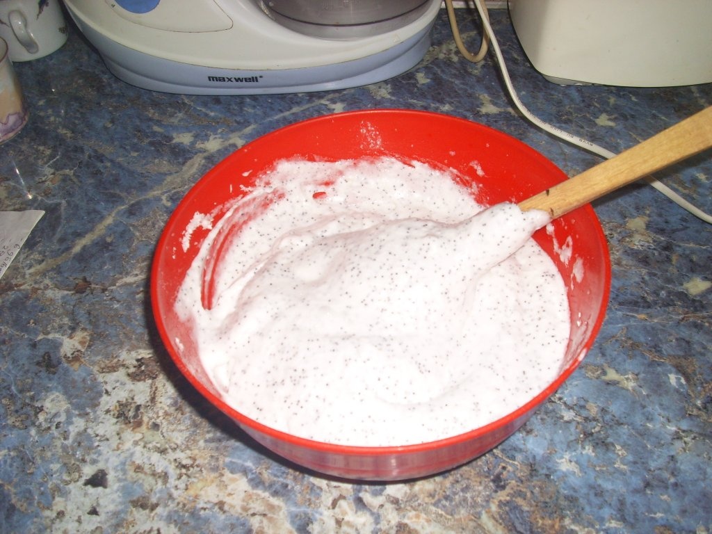 Prajitura fina cu nes si mac