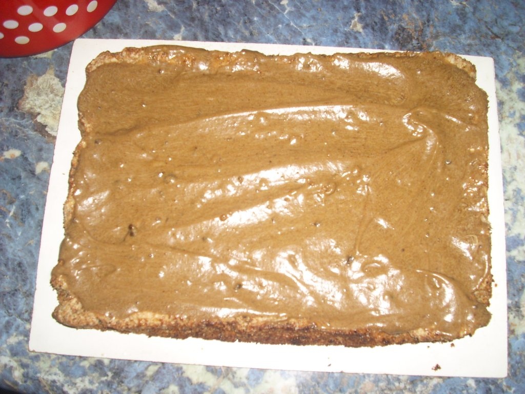 Prajitura fina cu nes si mac