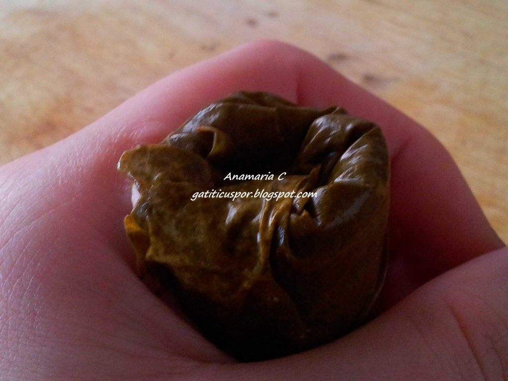 Sarmale In Foi De Vita