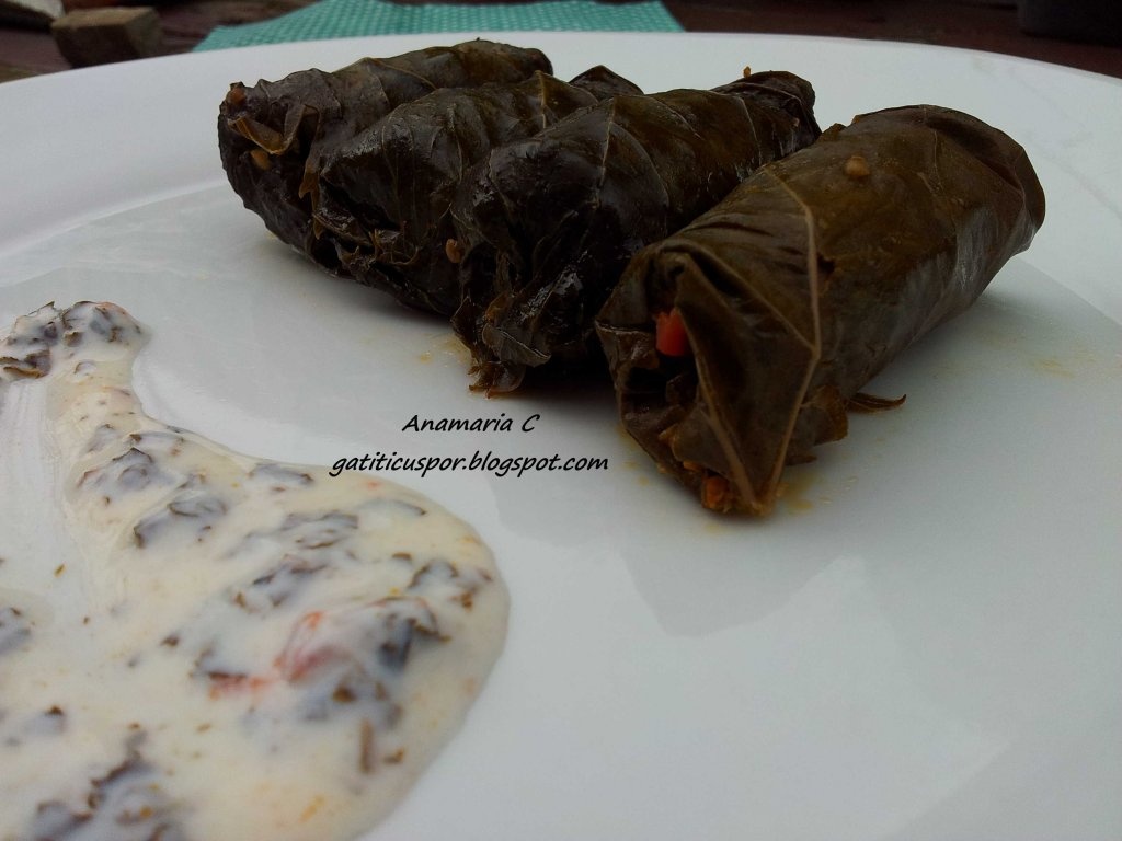 Sarmale In Foi De Vita