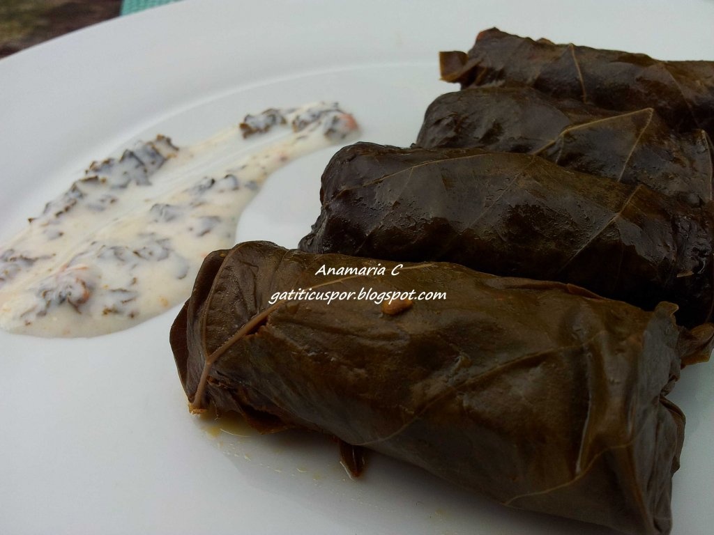 Sarmale In Foi De Vita