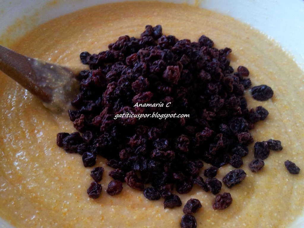 Prajitura Cu Malai Si Stafide