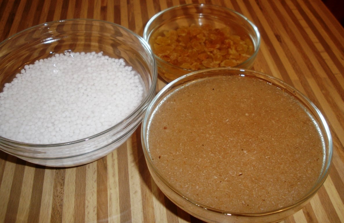 Sarmale de post cu ciuperci si stafide