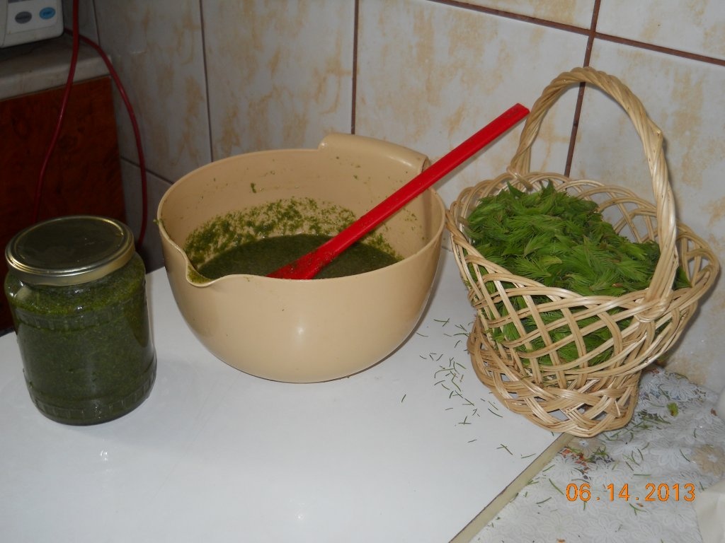 Sirop la rece din muguri de pin