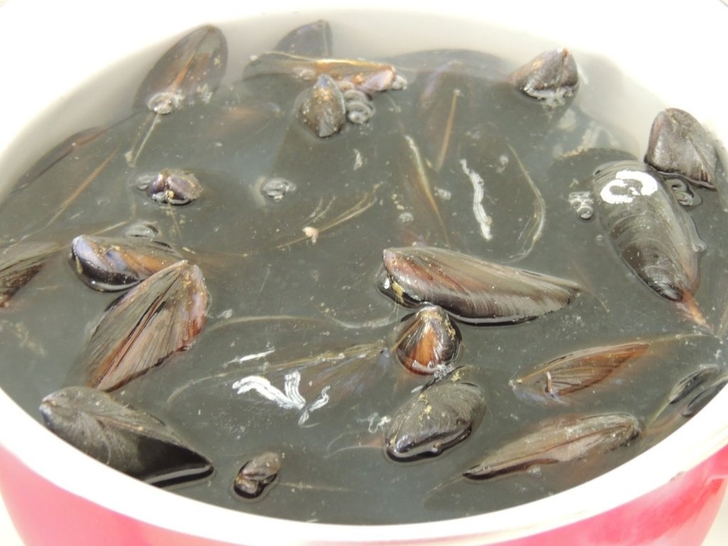 Zuppa di cozze alla napoletana ( Supa de scoici tipic napoletan)