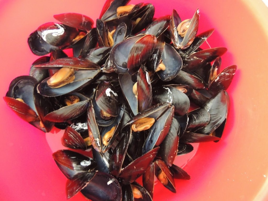 Zuppa di cozze alla napoletana ( Supa de scoici tipic napoletan)