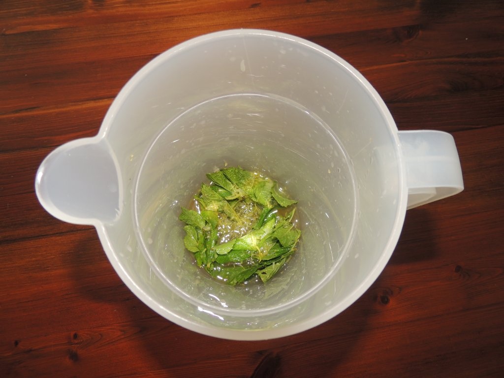 Limonada cu miere, menta si lamaie