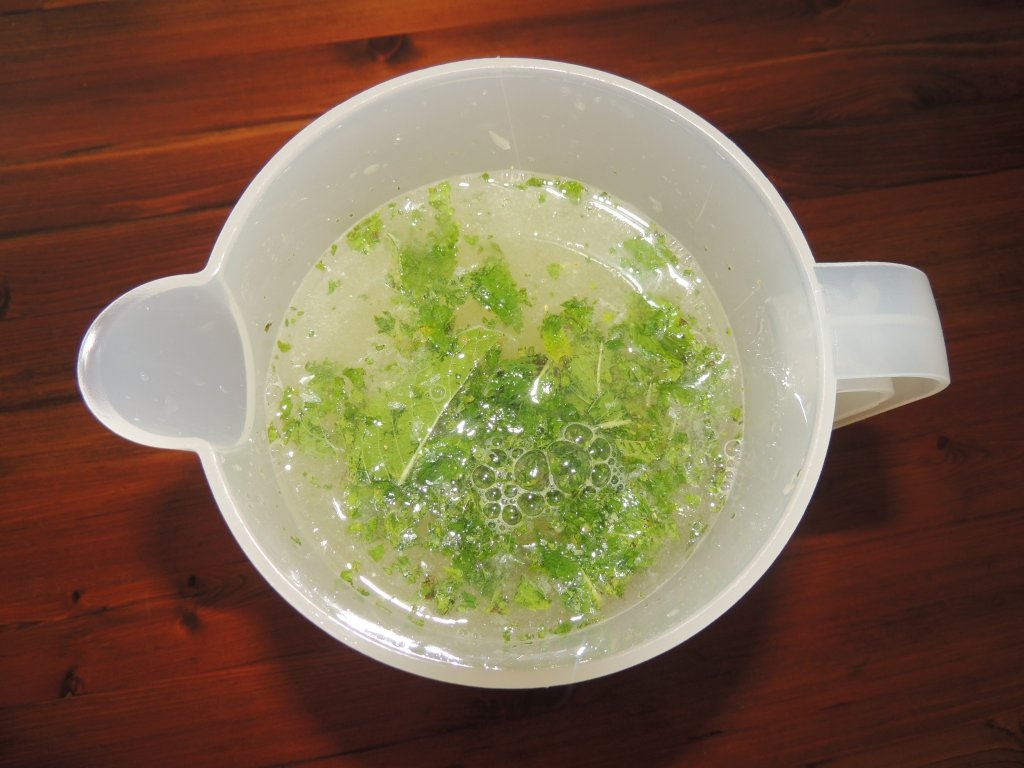 Limonada cu miere, menta si lamaie