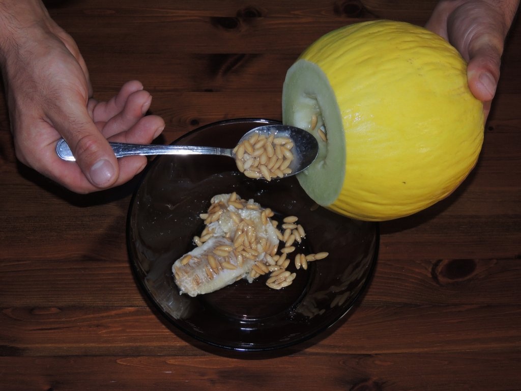 Pepene galben, umplut cu fructe