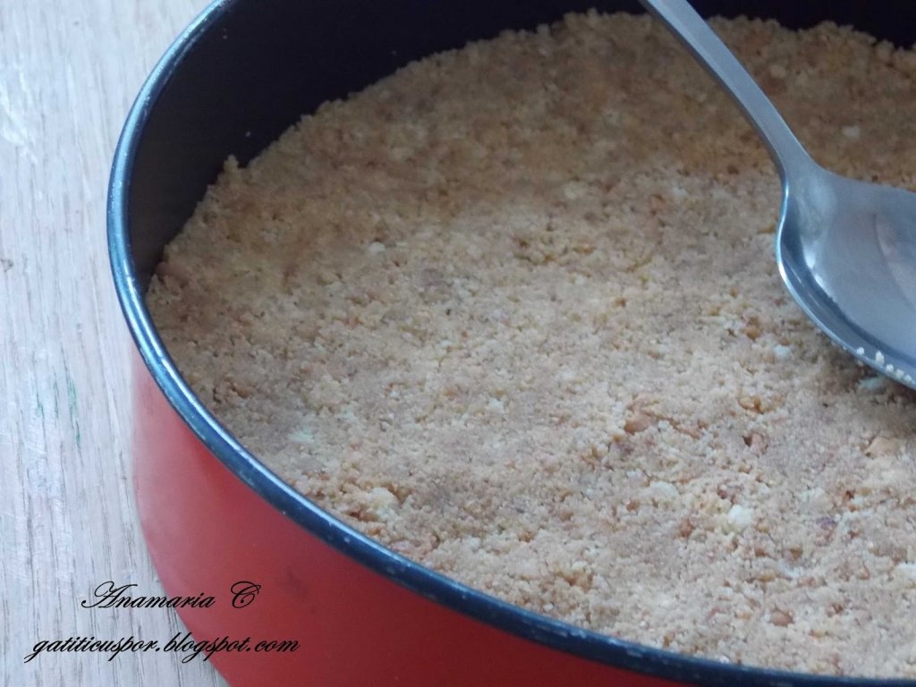 Cheesecake Rapid Cu Ciocolata