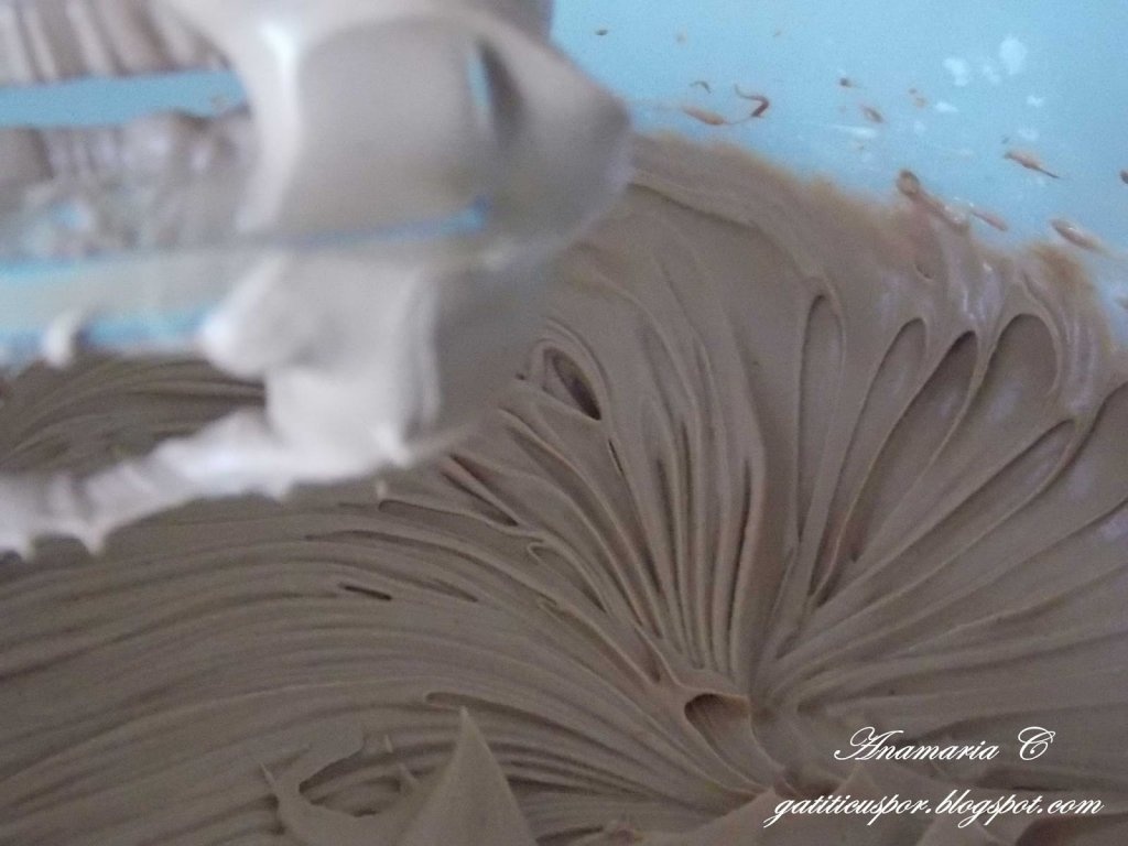 Cheesecake Rapid Cu Ciocolata