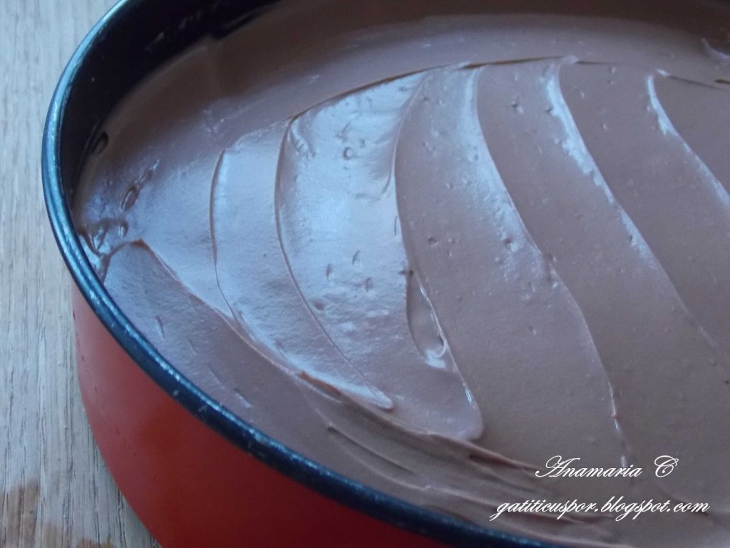 Cheesecake Rapid Cu Ciocolata