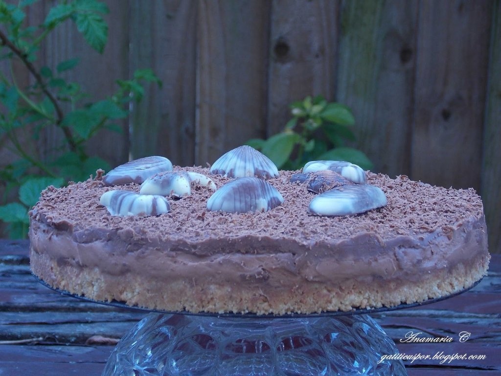 Cheesecake Rapid Cu Ciocolata