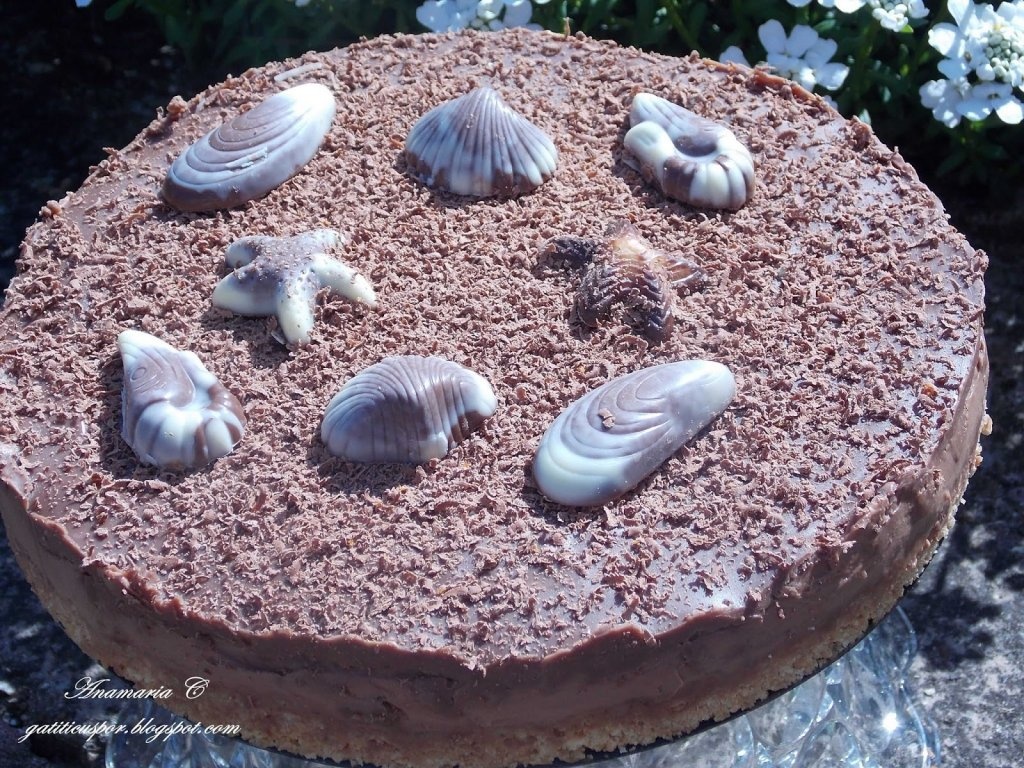 Cheesecake Rapid Cu Ciocolata