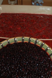 Dulceata burlacului cu afine, zmeura si limoncello