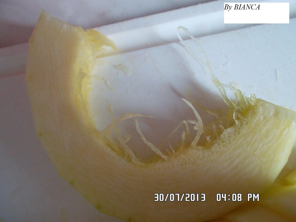 Dulceata de dovlecei